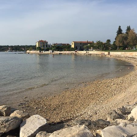 Villa Plavo More Novigrad  Екстер'єр фото